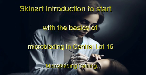 Skinart Introduction to start with the basics of microblading in Central Lot 16 | MicrobladingTraining | MicrobladingClasses | SkinartTraining-Canada