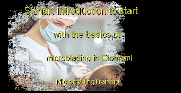 Skinart Introduction to start with the basics of microblading in Etomami | MicrobladingTraining | MicrobladingClasses | SkinartTraining-Canada