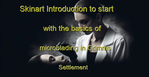 Skinart Introduction to start with the basics of microblading in Grimms Settlement | MicrobladingTraining | MicrobladingClasses | SkinartTraining-Canada