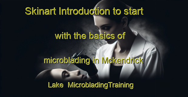 Skinart Introduction to start with the basics of microblading in Mckendrick Lake | MicrobladingTraining | MicrobladingClasses | SkinartTraining-Canada