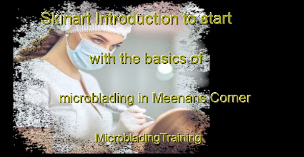 Skinart Introduction to start with the basics of microblading in Meenans Corner | MicrobladingTraining | MicrobladingClasses | SkinartTraining-Canada