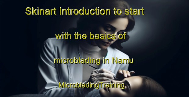Skinart Introduction to start with the basics of microblading in Namu | MicrobladingTraining | MicrobladingClasses | SkinartTraining-Canada