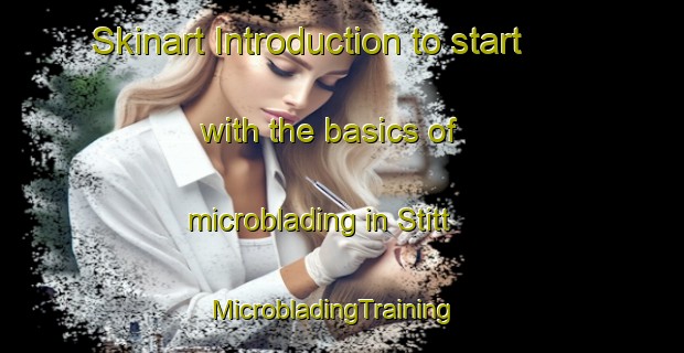 Skinart Introduction to start with the basics of microblading in Stitt | MicrobladingTraining | MicrobladingClasses | SkinartTraining-Canada
