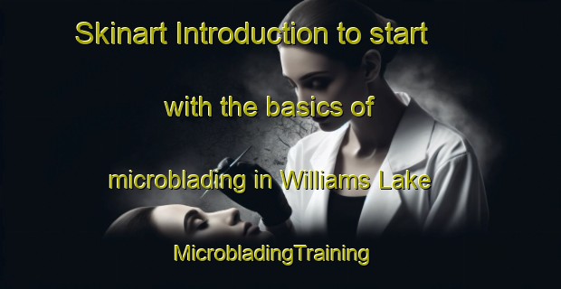 Skinart Introduction to start with the basics of microblading in Williams Lake | MicrobladingTraining | MicrobladingClasses | SkinartTraining-Canada