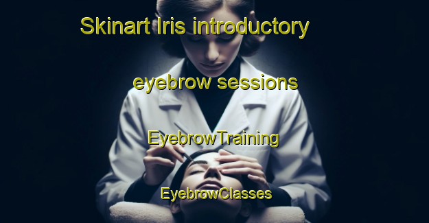 Skinart Iris introductory eyebrow sessions | EyebrowTraining | EyebrowClasses | SkinartTraining-Canada