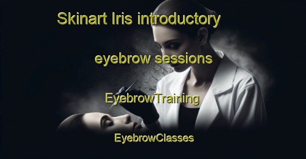 Skinart Iris introductory eyebrow sessions | EyebrowTraining | EyebrowClasses | SkinartTraining-Canada