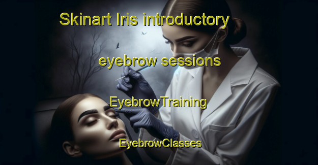 Skinart Iris introductory eyebrow sessions | EyebrowTraining | EyebrowClasses | SkinartTraining-Canada