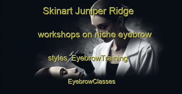 Skinart Juniper Ridge workshops on niche eyebrow styles | EyebrowTraining | EyebrowClasses | SkinartTraining-Canada