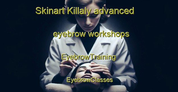 Skinart Killaly advanced eyebrow workshops | EyebrowTraining | EyebrowClasses | SkinartTraining-Canada