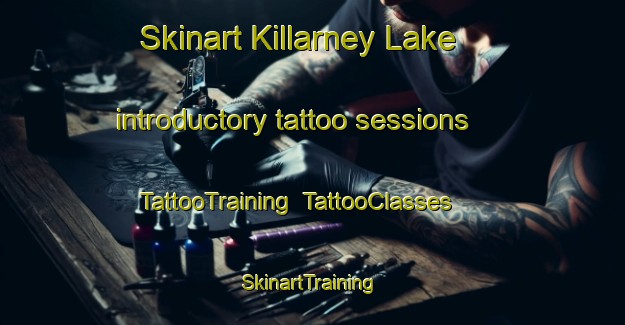 Skinart Killarney Lake introductory tattoo sessions | TattooTraining | TattooClasses | SkinartTraining-Canada