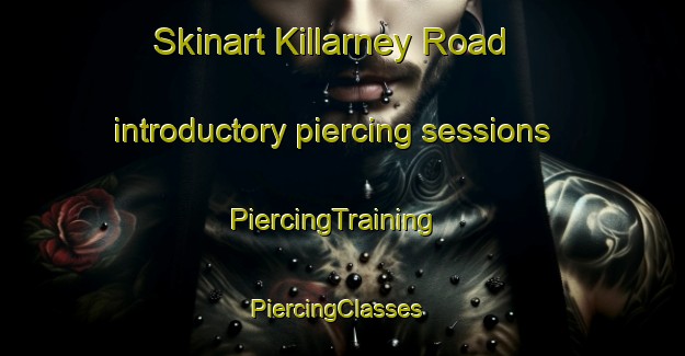 Skinart Killarney Road introductory piercing sessions | PiercingTraining | PiercingClasses | SkinartTraining-Canada