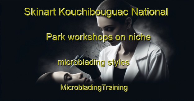 Skinart Kouchibouguac National Park workshops on niche microblading styles | MicrobladingTraining | MicrobladingClasses | SkinartTraining-Canada