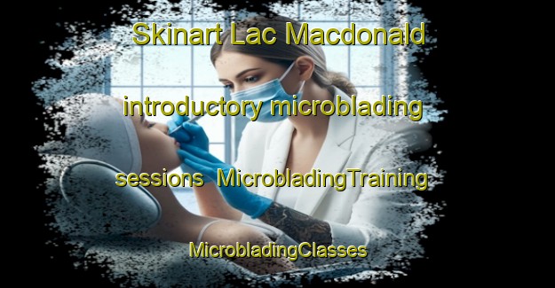 Skinart Lac Macdonald introductory microblading sessions | #MicrobladingTraining #MicrobladingClasses #SkinartTraining-Canada