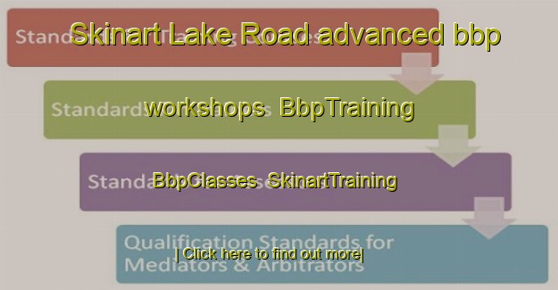 Skinart Lake Road advanced bbp workshops | BbpTraining | BbpClasses | SkinartTraining-Canada