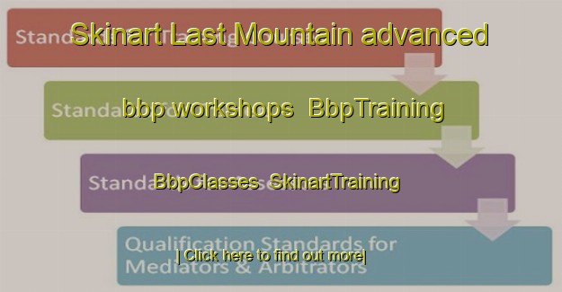 Skinart Last Mountain advanced bbp workshops | BbpTraining | BbpClasses | SkinartTraining-Canada