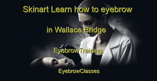 Skinart Learn how to eyebrow in Wallace Bridge | EyebrowTraining | EyebrowClasses | SkinartTraining-Canada