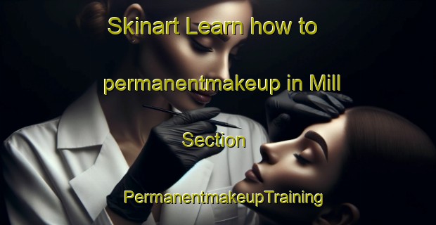 Skinart Learn how to permanentmakeup in Mill Section | PermanentmakeupTraining | PermanentmakeupClasses | SkinartTraining-Canada