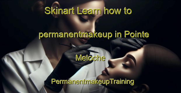 Skinart Learn how to permanentmakeup in Pointe Meloche | PermanentmakeupTraining | PermanentmakeupClasses | SkinartTraining-Canada