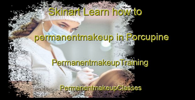 Skinart Learn how to permanentmakeup in Porcupine | PermanentmakeupTraining | PermanentmakeupClasses | SkinartTraining-Canada