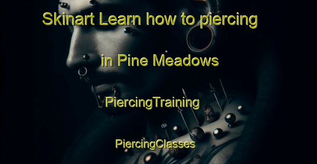 Skinart Learn how to piercing in Pine Meadows | PiercingTraining | PiercingClasses | SkinartTraining-Canada