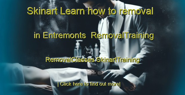 Skinart Learn how to removal in Entremonts | #RemovalTraining #RemovalClasses #SkinartTraining-Canada