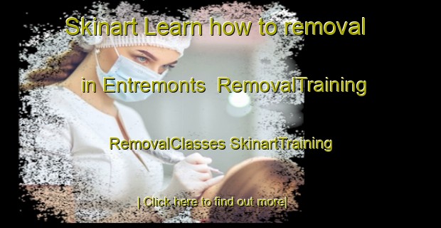 Skinart Learn how to removal in Entremonts | #RemovalTraining #RemovalClasses #SkinartTraining-Canada