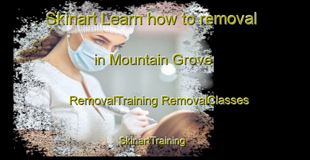 Skinart Learn how to removal in Mountain Grove | #RemovalTraining #RemovalClasses #SkinartTraining-Canada