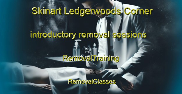 Skinart Ledgerwoods Corner introductory removal sessions | RemovalTraining | RemovalClasses | SkinartTraining-Canada