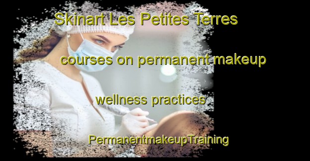 Skinart Les Petites Terres courses on permanent makeup wellness practices | PermanentmakeupTraining | PermanentmakeupClasses | SkinartTraining-Canada