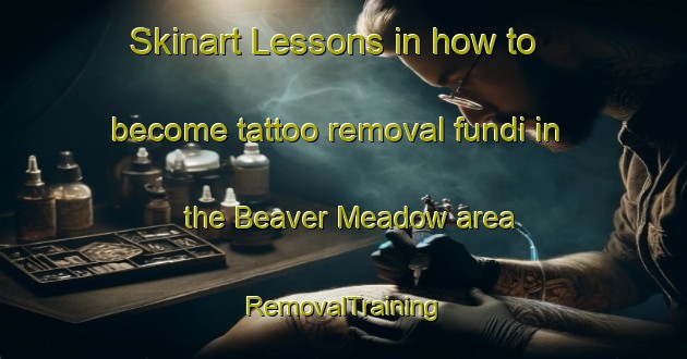 Skinart Lessons in how to become tattoo removal fundi in the Beaver Meadow area | RemovalTraining | RemovalClasses | SkinartTraining-Canada