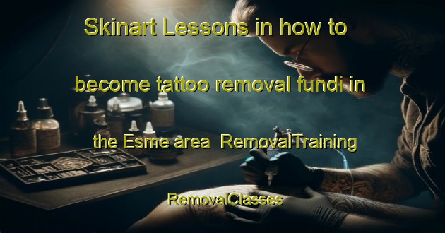 Skinart Lessons in how to become tattoo removal fundi in the Esme area | RemovalTraining | RemovalClasses | SkinartTraining-Canada