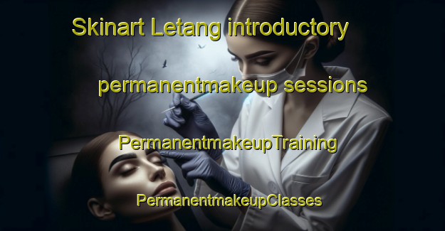 Skinart Letang introductory permanentmakeup sessions | PermanentmakeupTraining | PermanentmakeupClasses | SkinartTraining-Canada