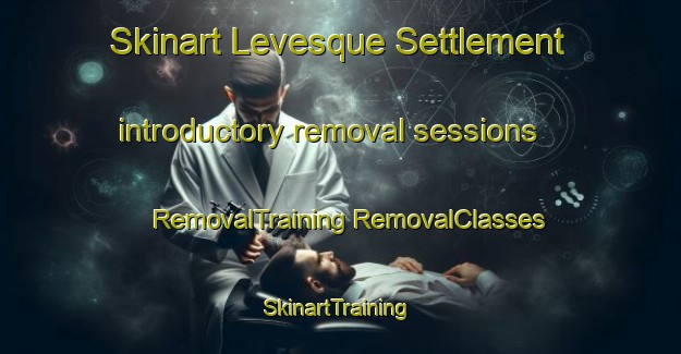 Skinart Levesque Settlement introductory removal sessions | #RemovalTraining #RemovalClasses #SkinartTraining-Canada