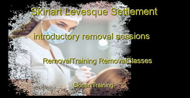 Skinart Levesque Settlement introductory removal sessions | #RemovalTraining #RemovalClasses #SkinartTraining-Canada