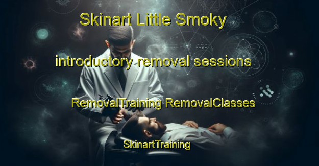 Skinart Little Smoky introductory removal sessions | #RemovalTraining #RemovalClasses #SkinartTraining-Canada