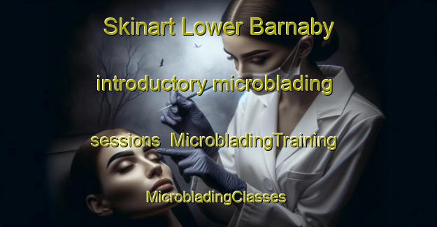 Skinart Lower Barnaby introductory microblading sessions | MicrobladingTraining | MicrobladingClasses | SkinartTraining-Canada