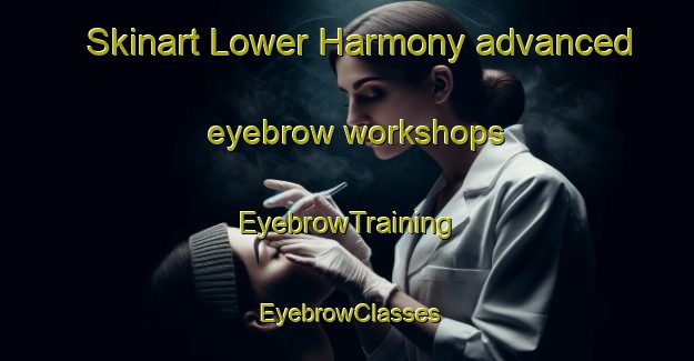 Skinart Lower Harmony advanced eyebrow workshops | EyebrowTraining | EyebrowClasses | SkinartTraining-Canada