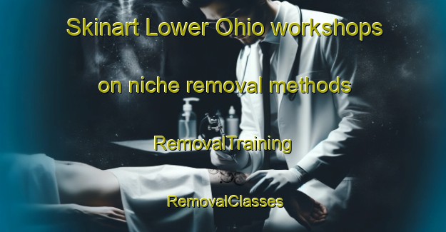 Skinart Lower Ohio workshops on niche removal methods | RemovalTraining | RemovalClasses | SkinartTraining-Canada
