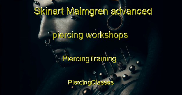 Skinart Malmgren advanced piercing workshops | #PiercingTraining #PiercingClasses #SkinartTraining-Canada