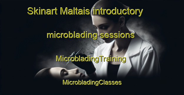 Skinart Maltais introductory microblading sessions | #MicrobladingTraining #MicrobladingClasses #SkinartTraining-Canada