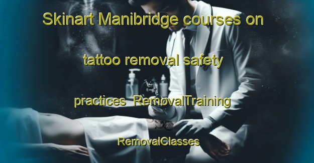 Skinart Manibridge courses on tattoo removal safety practices | RemovalTraining | RemovalClasses | SkinartTraining-Canada