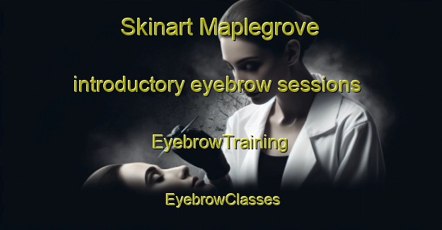 Skinart Maplegrove introductory eyebrow sessions | EyebrowTraining | EyebrowClasses | SkinartTraining-Canada