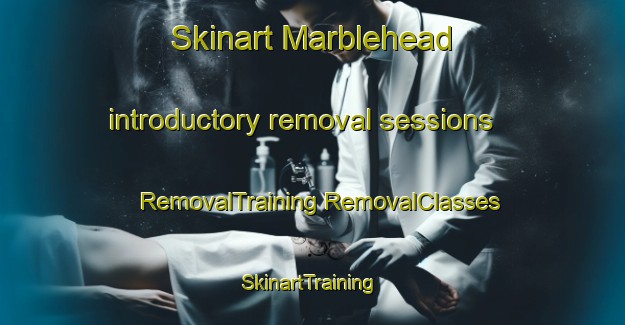 Skinart Marblehead introductory removal sessions | #RemovalTraining #RemovalClasses #SkinartTraining-Canada