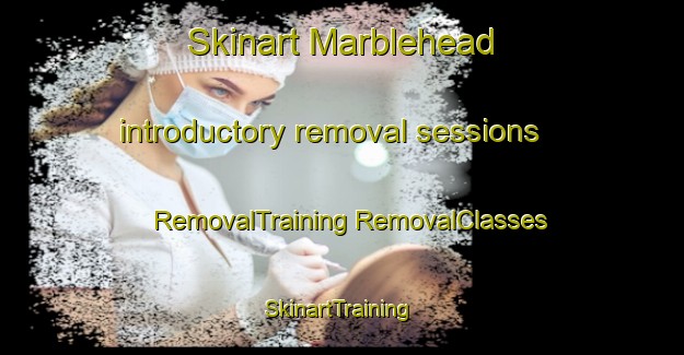 Skinart Marblehead introductory removal sessions | #RemovalTraining #RemovalClasses #SkinartTraining-Canada