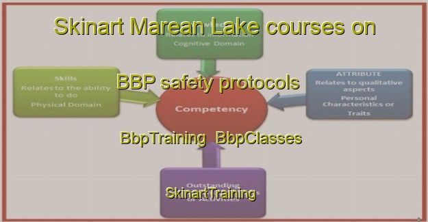 Skinart Marean Lake courses on BBP safety protocols | BbpTraining | BbpClasses | SkinartTraining-Canada