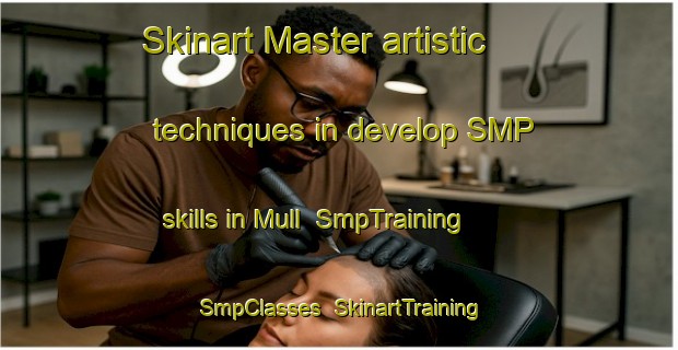 Skinart Master artistic techniques in develop SMP skills in Mull | SmpTraining | SmpClasses | SkinartTraining-Canada