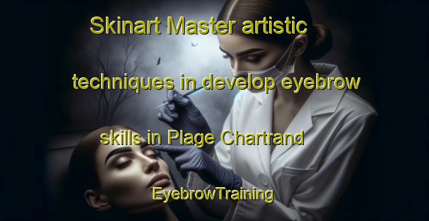 Skinart Master artistic techniques in develop eyebrow skills in Plage Chartrand | EyebrowTraining | EyebrowClasses | SkinartTraining-Canada
