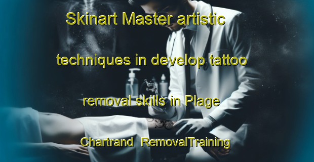 Skinart Master artistic techniques in develop tattoo removal skills in Plage Chartrand | RemovalTraining | RemovalClasses | SkinartTraining-Canada