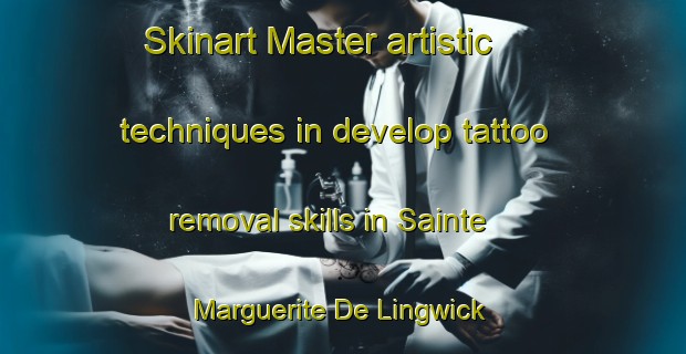 Skinart Master artistic techniques in develop tattoo removal skills in Sainte Marguerite De Lingwick | RemovalTraining | RemovalClasses | SkinartTraining-Canada