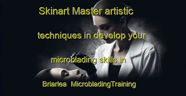 Skinart Master artistic techniques in develop your microblading skills in Briarlea | MicrobladingTraining | MicrobladingClasses | SkinartTraining-Canada